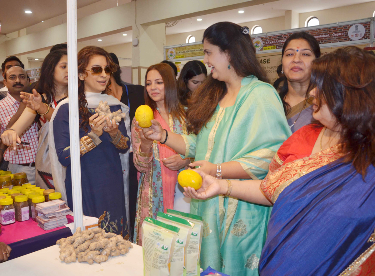 Women of India Festival – 2018 Exhibition .