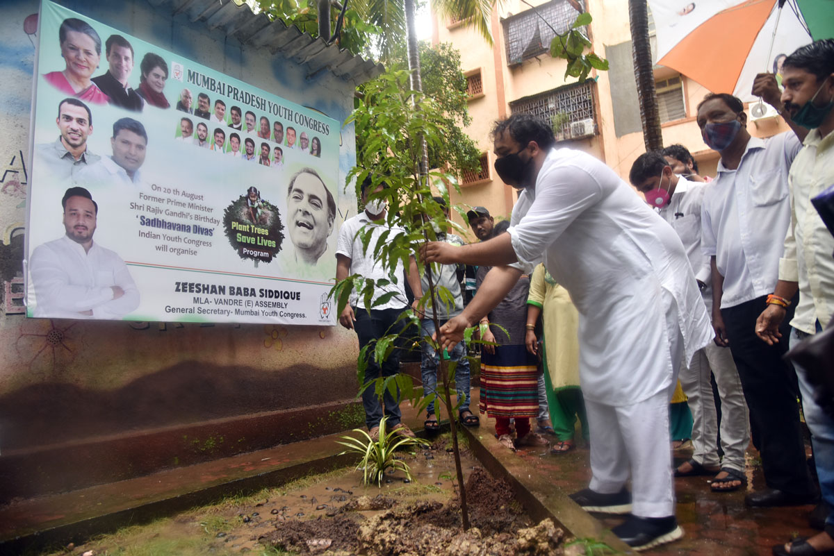 MLA Zeeshan Siddique Plant Trees Save Live Program on Former Prime Minsiter Rajiv Gandhi Birth Anniversary as Sadbhavana Divas .