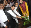 Flagging Off 2 Crores Tree Plantation Drive at Sion. Flagging Off 2 Crores Tree Plantation Drive at Sion.