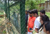 Union Minister of State Shri. Ramdas Athawale with Seema Athawale & Son Jeet Adopt Leapord at National Park.