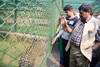 Panther Adopted at National Park by Social Justice Minister of State Ramdas Athawale.