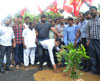 Tree Plantation in Potholes by MLA Nitesh Rane in Mumbai.i